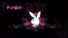 PlayBoy